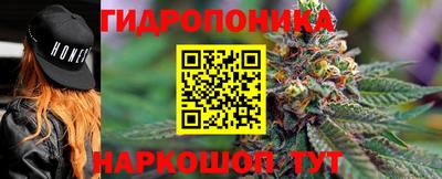 Альфа ПВП Пушкино
