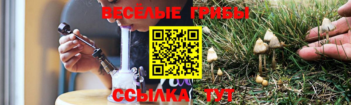 Псилоцибиновые грибы прущие грибы  Псилоцибиновые грибы Psilocybe  Вход с VPN  Ржев 